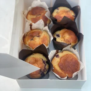 Blueberry Muffins