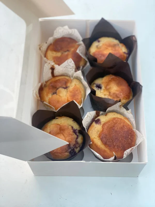 Blueberry Muffins